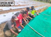 Cek Lahan Tanam Cabe Di Lubuk Harjo, Anggota Polsek MDS I Terima Curhatan Petani