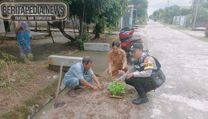 Dukung Ketahanan Pangan, Brigadir Marlionson Sambangi Petani Terong di Yosowinangun