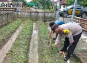 Bhabinkamtibmas Polsek Madang Suku I Pantau Lahan Cabai di Harjomulyo, Dukung Ketahanan Pangan