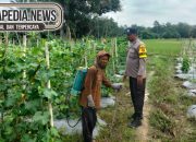 Polsek Madang Suku I Aktif Dampingi Petani Melon, Wujud Nyata Dukung Ketahanan Pangan Nasional