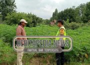 Polsek Madang Suku I Terjun ke Rasuan, Perkuat Dukungan untuk Ketahanan Pangan