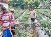 Polsek Madang Suku I Sambangi Petani Cabai, Perkuat Dukungan untuk Ketahanan Pangan