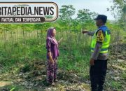 Giat Sambang Polsek Madang Suku I Ke Petani Ubi Kayu Di Jatisari Upaya Langkah Sinergi Demi Ketahanan Pangan