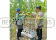 Sambangi Petani Jagung di Jatisari, Kapolsek Madang Suku I : Sinergi untuk Ketahanan Pangan