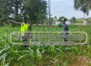 Polisi Turun Ladang: Dukungan Nyata untuk Petani di OKU Timur
