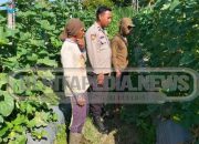 Bhabinkamtibmas Aipda Heri Sumanto Dukung Ketahanan Pangan di Desa Lubuk Harjo OKU Timur