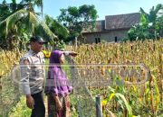 Polsek Madang Suku I Lakukan Peninjuaan Lahan Ketahanan Pangan Di Desa Lubuk Harjo