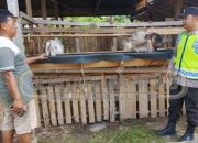 Polisi Sambangi Kandang Kambing Warga Harjo Mulyo, Bentuk Dukung Ketahanan Pangan