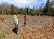Bhabinkamtibmas Cek Lahan Ubi Kayu di Jatisari, Dukung Ketahanan Pangan Warga