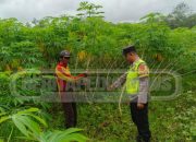 Bripka Saleh Polsek Madang Suku I Sambangi Lahan Ketahanan Pangan Warga di Desa Jatisari