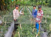 Polsek Madang Suku I Lakukan Pengecekan Lahan Ketahanan Pangan di Desa Harjo Mulyo Jaya