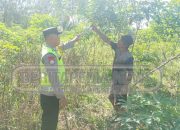 Bripka Saleh Tinjau Lahan Ketahanan Pangan Milik Petani di Desa Harjomulyo