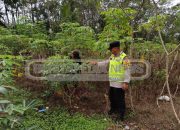 Bhabinkamtibmas Cek Lahan Ketahanan Pangan di Harjo Mulyo, Dukung Swasembada Pangan Masyarakat