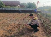 Brigadir Marlionson Polsek Madang Suku l Ungkap Kondisi Lahan Jagung di Rantau Jaya