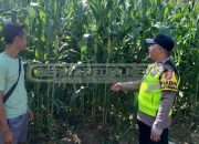 Kapolsek MDS I: Polri Hadir Dukung Ketahanan Pangan Masyarakat
