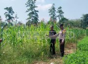 Motivasi dari Kapolsek MDS I: Petani Desa Semangat Wujudkan Perkuat Ketahanan Pangan