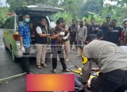 Hujan Deras, Pohon Tumbang R3nggut Ny4wa Pengendara di Lintas Komering