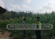 Polsek Madang Suku I Dorong Ketahanan Pangan Lewat Pendampingan Petani di Desa Harjo Mulyo Jaya
