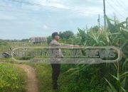 Cek Lahan Jagung, Polsek Madang Suku I Dukung Program Ketahanan Pangan di Desa Lubuk Harjo