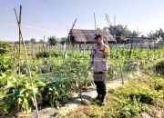 Polsek Madang Suku I Lakukan Pengecekan Lahan Ketahanan Pangan di Desa Tridadi