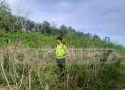 Bhabinkamtibmas Polsek Madang Suku I Cek Lahan Ketahanan Pangan di Desa Jatisari