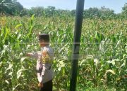 Bhabinkamtibmas Polsek Madang Suku I Lakukan Pengecekan Lahan Ketahanan Pangan di Desa Mengulak