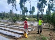 Brigadir Suyudi Polsek Madang Suku l Cek Lahan Ketahanan Pangan di Desa Jatisari