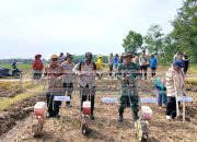 Penanaman Jagung 1 Desa 1 Hektar di Desa Bangsa Negara, Polsek Madang Suku I Dukung Ketahanan Pangan Nasional