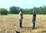 Polsek Madang Suku I Dukung Ketahanan Pangan Lewat Penanaman Jagung di Desa Bangsa Negara
