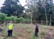 Bhabinkamtibmas Polsek Madang Suku I Tinjau Lahan Ketahanan Pangan di Desa Tanah Merah