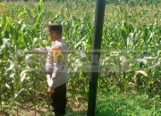 Bhabinkamtibmas Polsek Madang Suku I Lakukan Pengecekan Lahan Ketahanan Pangan di Desa Mengulak