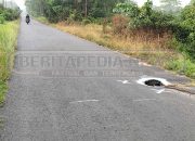 Pengendara Diminta Waspada, Jalan Berlubang di Arah Gumawang–Kepuh Jadi Ancaman
