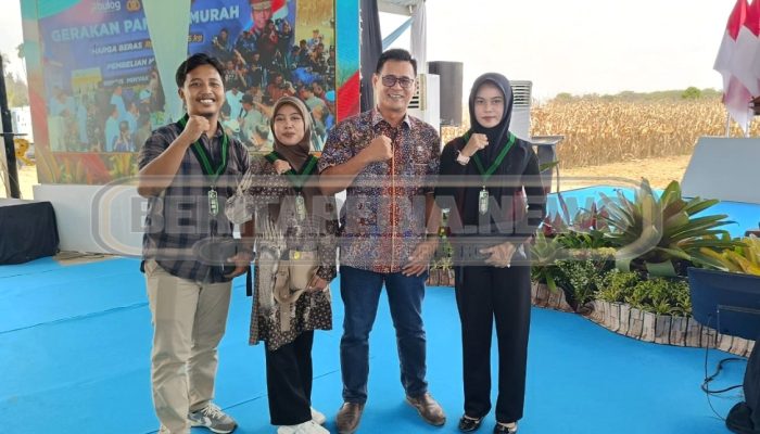 Panen Raya Jagung Kuartal III, HMI Soroti Harga dan Pupuk Petani