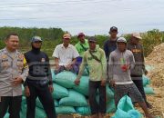 Bhabinkamtibmas Dampingi Petani, Dukung Panen Jagung di Desa Lubuk Harjo