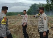 Polsek Madang Suku I Lakukan Pengecekan Lokasi Penanaman Jagung Serentak Kuartal IV
