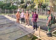 Bhabinkamtibmas Polsek Madang Suku I Dorong Ketahanan Pangan Lewat Budidaya Lele di Desa Tridadi