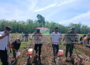 Polsek Madang Suku I Tanam Jagung Serentak Kuartal IV, Wujud Nyata Dukung Swasembada Pangan 2025