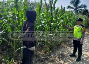 Bhabinkamtibmas Cek Lahan Ketahanan Pangan di Desa Jati Sari, Dorong Petani Terus Produktif