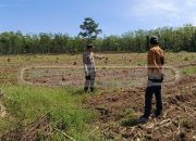 Sinergi Polisi dan Petani, Wujud Nyata Ketahanan Pangan di Desa Jaya Bakti