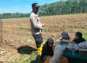 Bhabinkamtibmas Polsek Madang Suku I Pantau Lahan Jagung, Dukung Ketahanan Pangan Warga