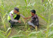 Bhabinkamtibmas Polsek Madang Suku I Hadir di Tengah Petani, Jaga Ketahanan Pangan Desa