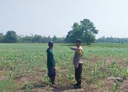 Polsek Madang Suku I Kawal Program Ketahanan Pangan di Desa Mengulak