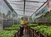 Bhabinkamtibmas Polsek Madang Suku I Pantau Program Ketahanan Pangan di Desa Tulus Ayu