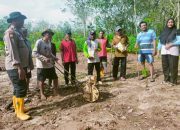 Polsek Madang Suku I Tanam Jagung 1 Hektar di Brunai Sari Mulya Dukung Program Ketahanan Pangan Nasional