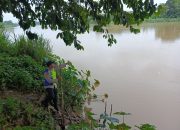 Polsek Madang Suku I Monitoring Debit Air Sungai Komering, Kondisi Masih Aman dari Banjir