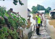 Debit Sungai Komering Naik, Polsek Madang Suku I Pantau Rawa dan Bantaran Sungai