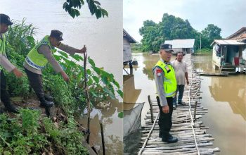 Debit Sungai Komering Naik, Polsek Madang Suku I Pantau Rawa dan Bantaran Sungai