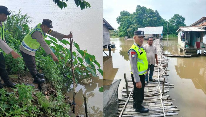Debit Sungai Komering Naik, Polsek Madang Suku I Pantau Rawa dan Bantaran Sungai