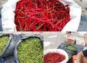 Harga Cabai di Pasar Mendayun Anjlok, Pedagang Keluhkan Dampak Musim Hujan