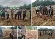 Polsek Madang Suku I Laksanakan Penanaman Jagung Program 1 Desa 1 Hektar di Desa Lubuk Harjo